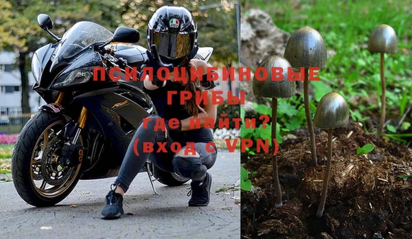 соль ск Балахна
