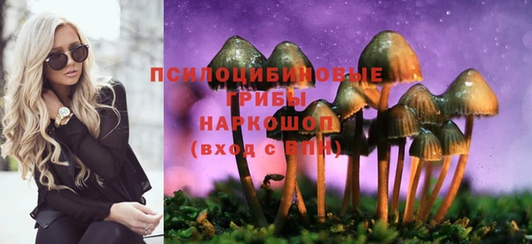 гидропоника Балабаново