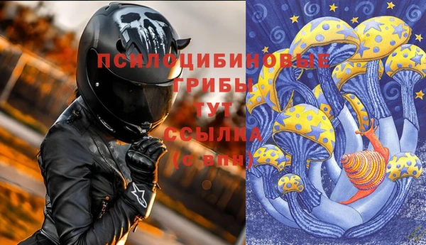 гидропоника Балабаново