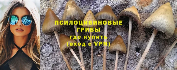 соль ск Балахна